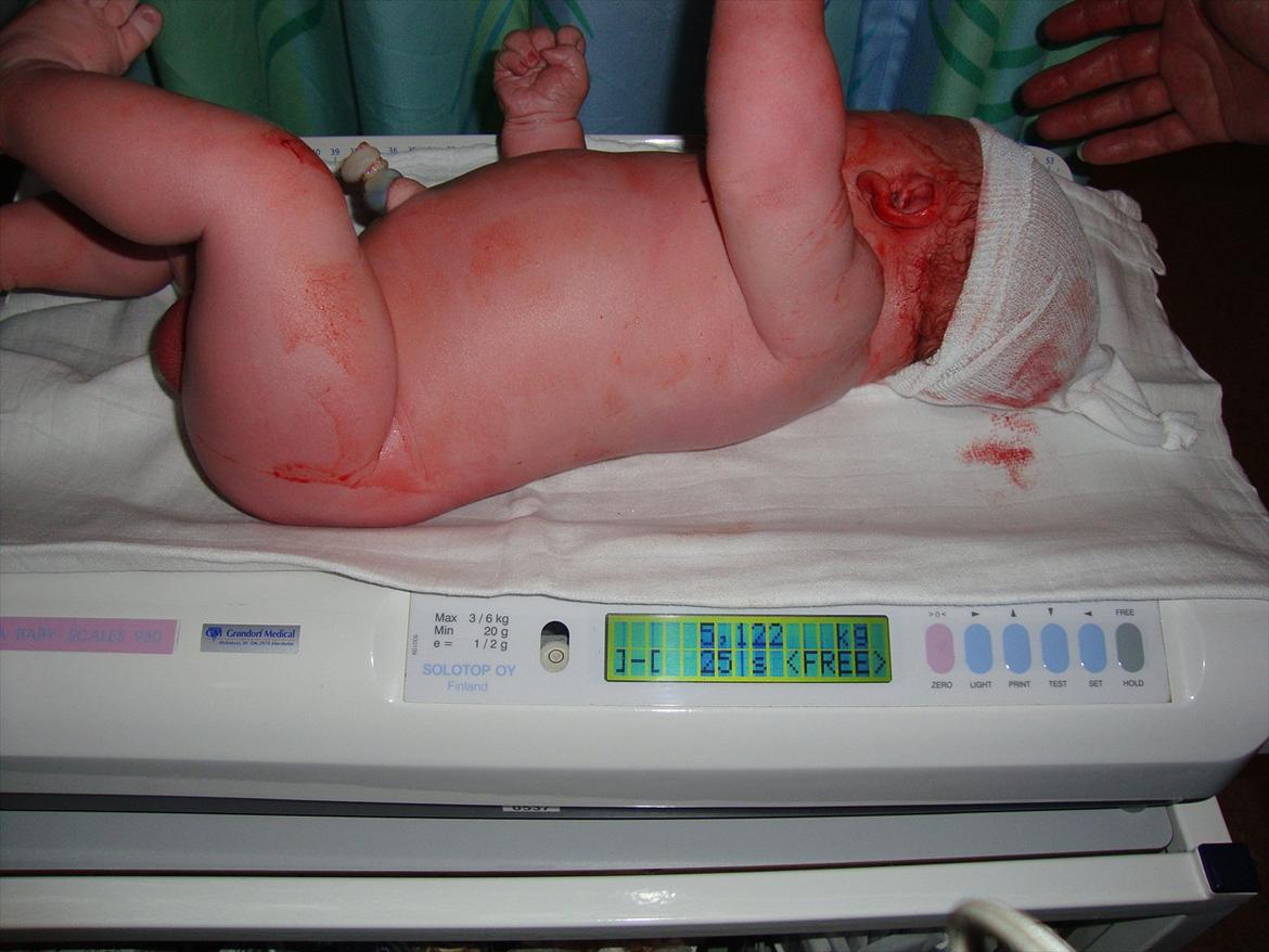 Dreng Casper - Casper bliver lige vejet, for at vise farmand, at han altså vejede over 5 kg. :-) billede 1