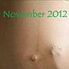 Termin November 2012