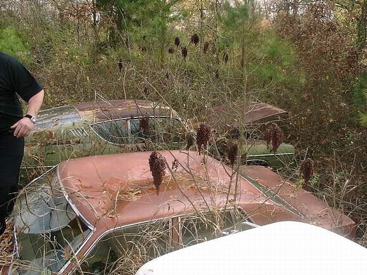 AmerikanerBiler Skrot pladsen. billede 25