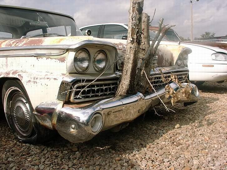 AmerikanerBiler Skrot pladsen. billede 7