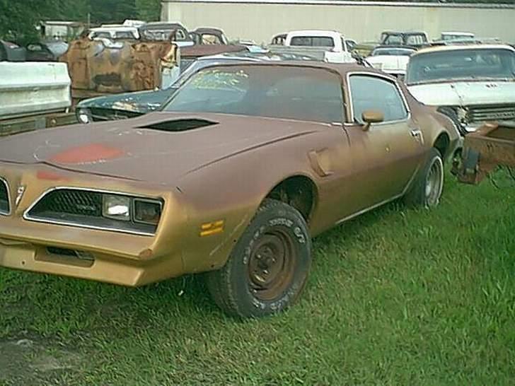 AmerikanerBiler Skrot pladsen. billede 2