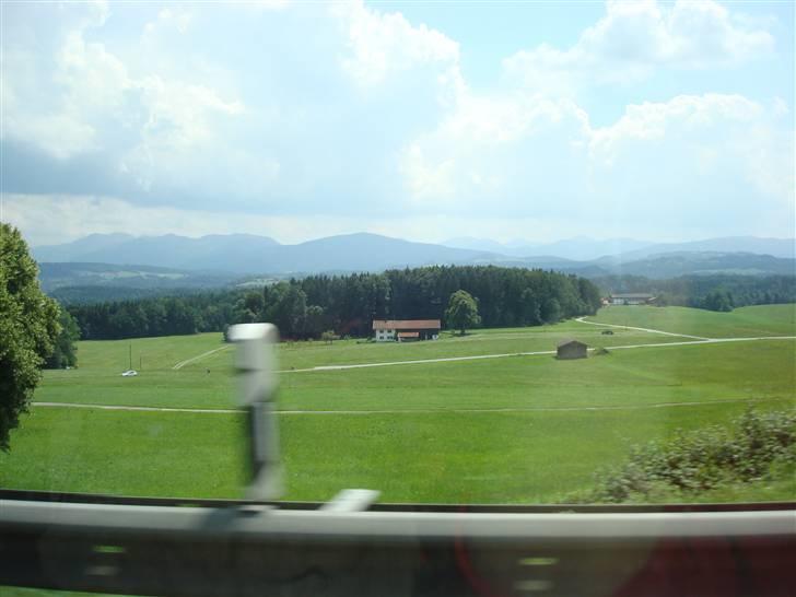 De første billeder fra min tur til Italien billede 8