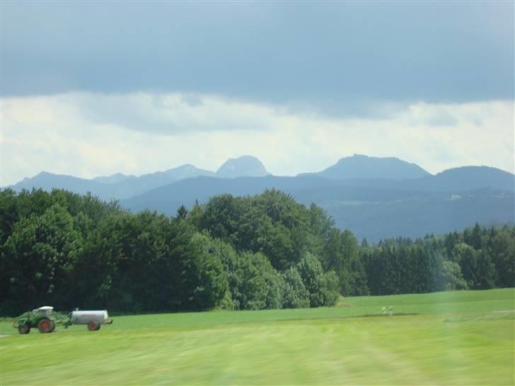 De første billeder fra min tur til Italien billede 12