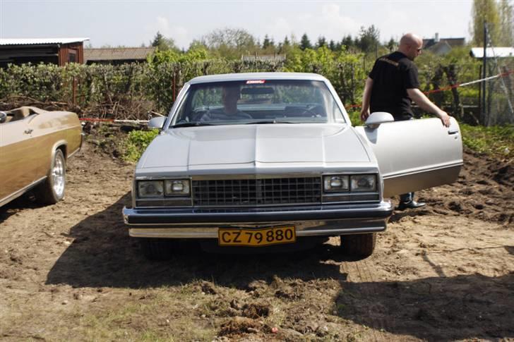 Åbenthus 3-5-08 i American street Machines billede 36