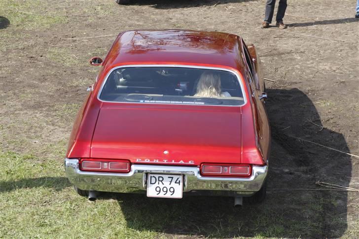 Åbenthus 3-5-08 i American street Machines billede 71