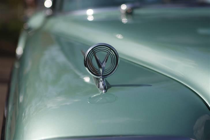 Åbenthus 3-5-08 i American street Machines billede 76