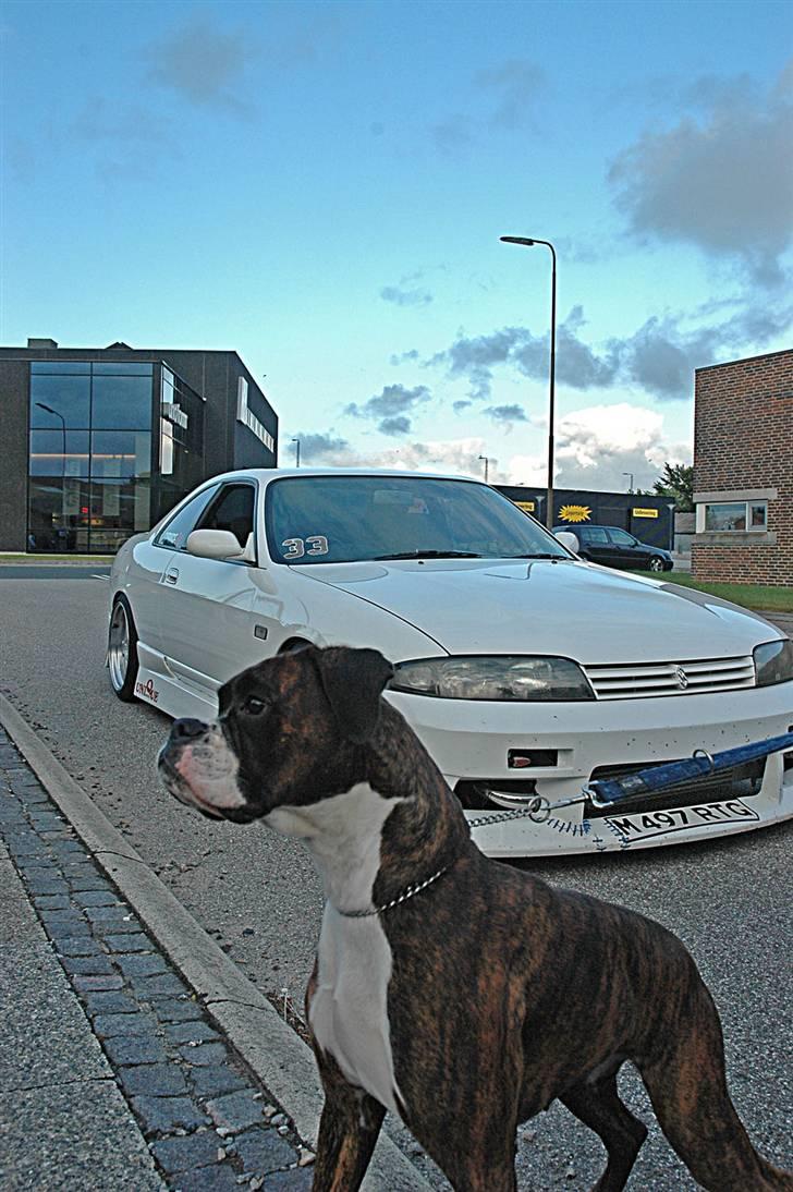 Jari Auto Holstebro 27.06 billede 15