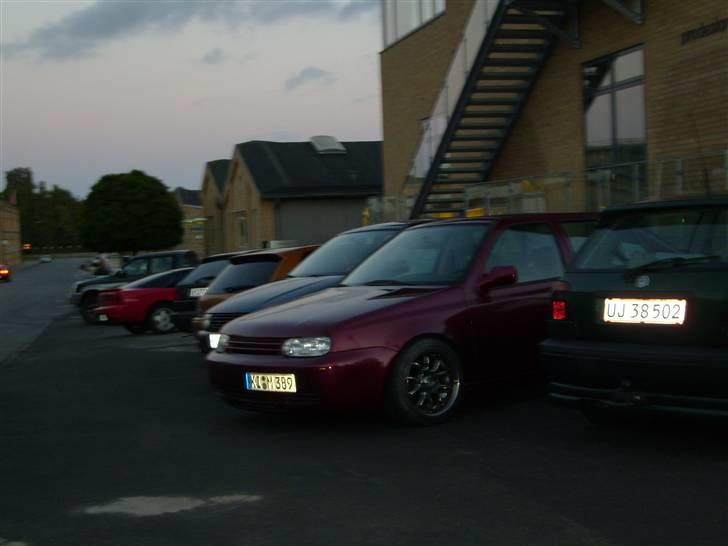 Jari auto åbnings fest d. 8 august  billede 20