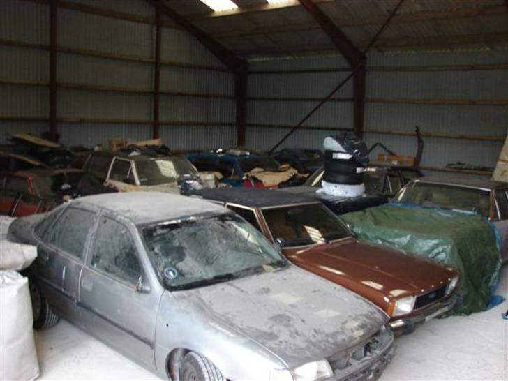 De hellige Svanbjerghaller! - Endnu et vue over hallen... billede 2