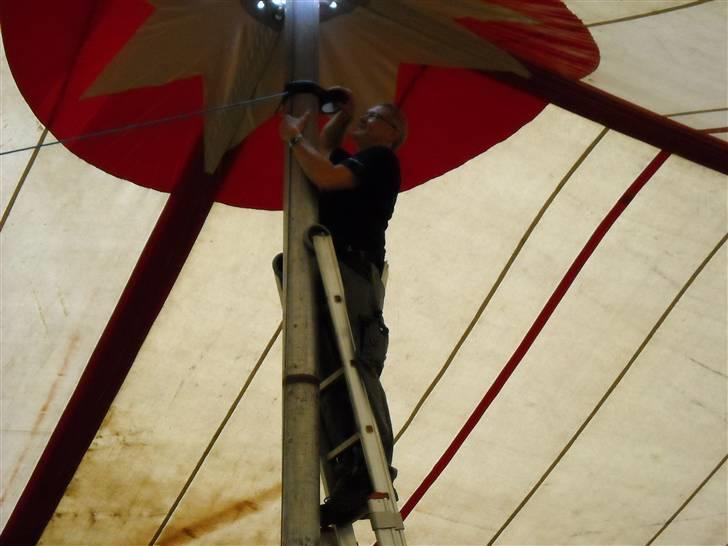 Amerikaner træf i Odense :-)  billede 5