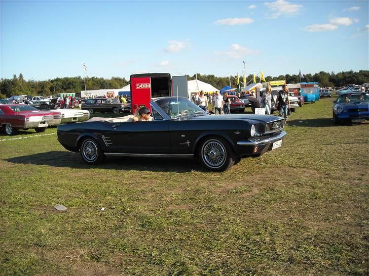 Odin træf 29-31/08 billede 31