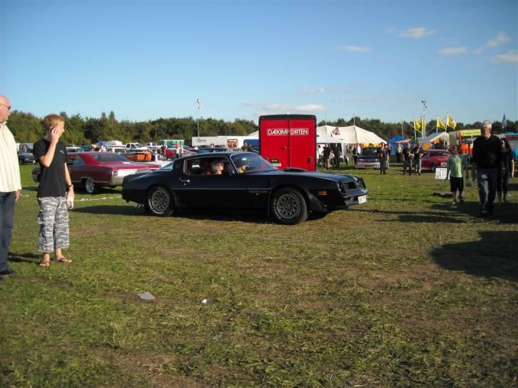 Odin træf 29-31/08 billede 46