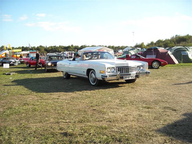 Odin træf 29-31/08 billede 49