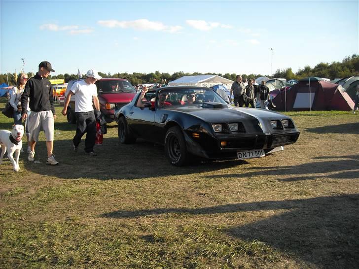 Odin træf 29-31/08 billede 68