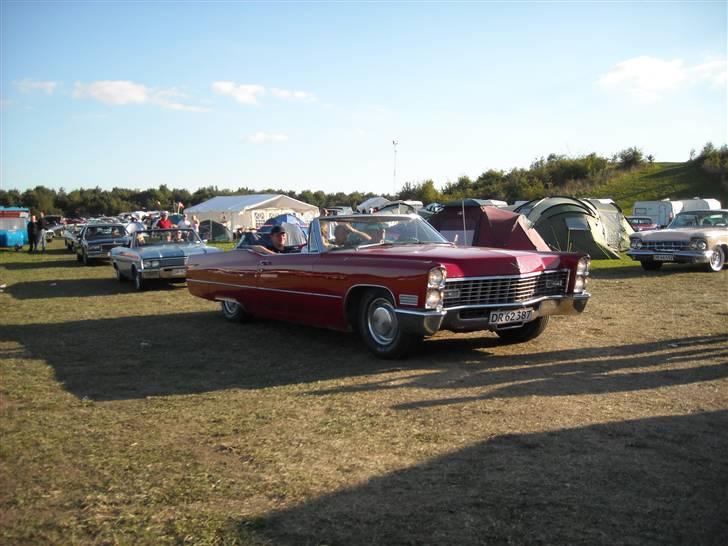 Odin træf 29-31/08 billede 75