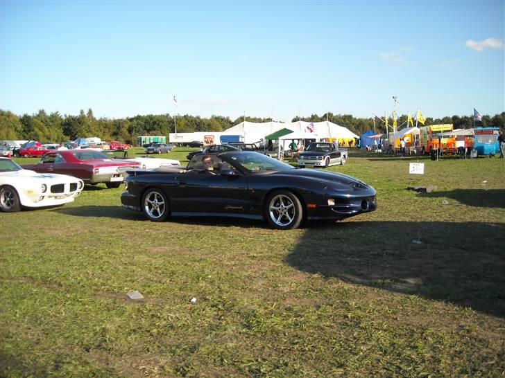 Odin træf 29-31/08 billede 84