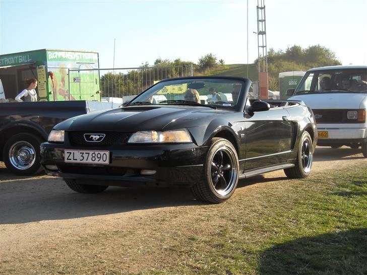 Odin træf 29-31/08 billede 140