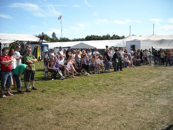 Odin træf 29-31/08 billede 200