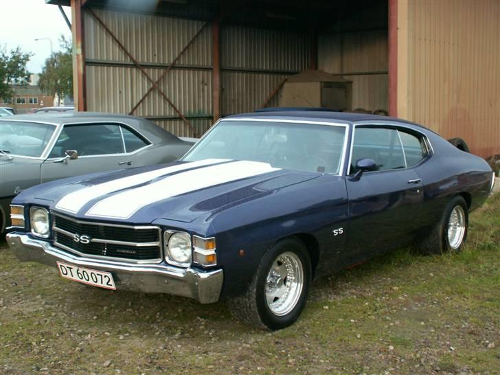 Vmax tour ved dækimporten go´e babes og biler billede 93