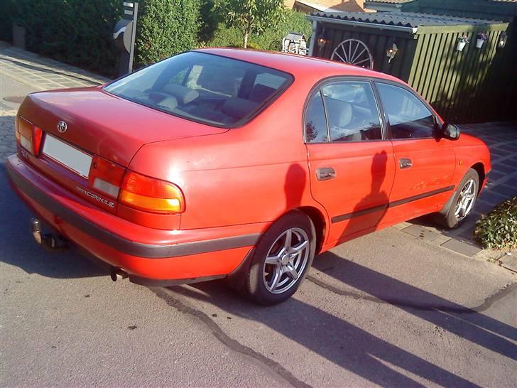 Biler jeg har tonet ruder i + poleret billede 54