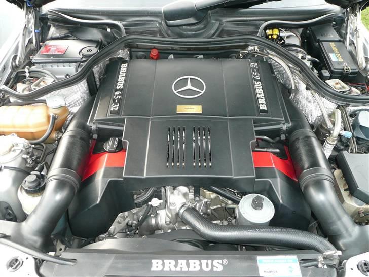 W124 Special tunet V8 modeller - BRABUS - CARLSSON - AMG - Kraftværket i BRABUS E65 - altid prydet med den karakteristiske røde farve på ventil dækslerne. billede 11