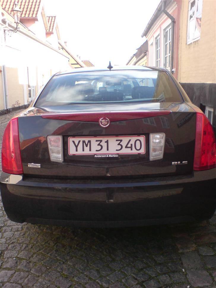 FEDE BILER - CADILAC billede 22