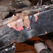 Skade efter skov trophy