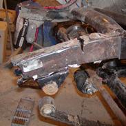 Skade efter skov trophy