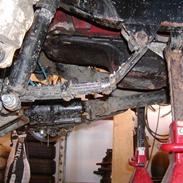 Skade efter skov trophy