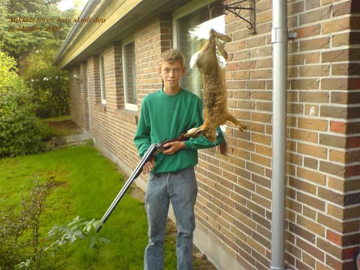 Jagt i Jylland. - Min første hare, skud med side by side hagl gevær! billede 2