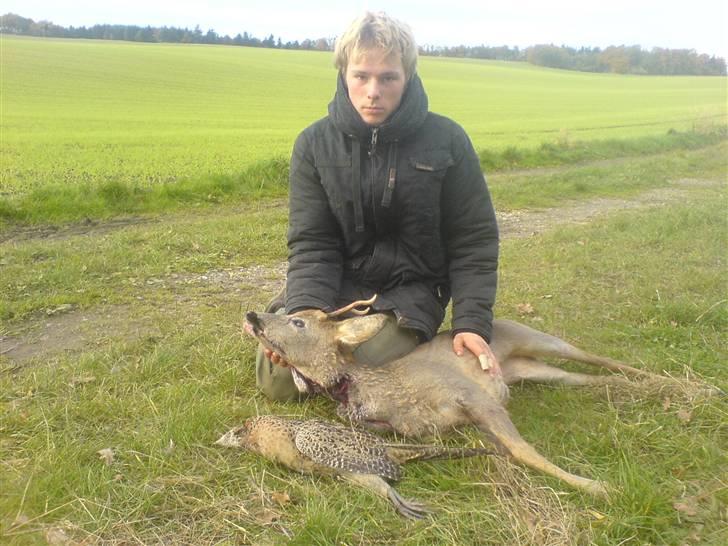 Jagt i Jylland. - Ham på billedet, dette var første gang han var på jagt, det var første gang han skud mod et stykke vildt, og så var det en flot lille spidsbuk!
heldig ja det må man sige! billede 5