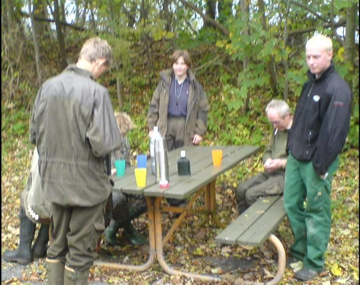 Jagt i Jylland. billede 10