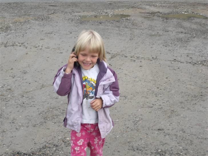 Dansk 4x4 hos team bertelsen 2008 billede 4