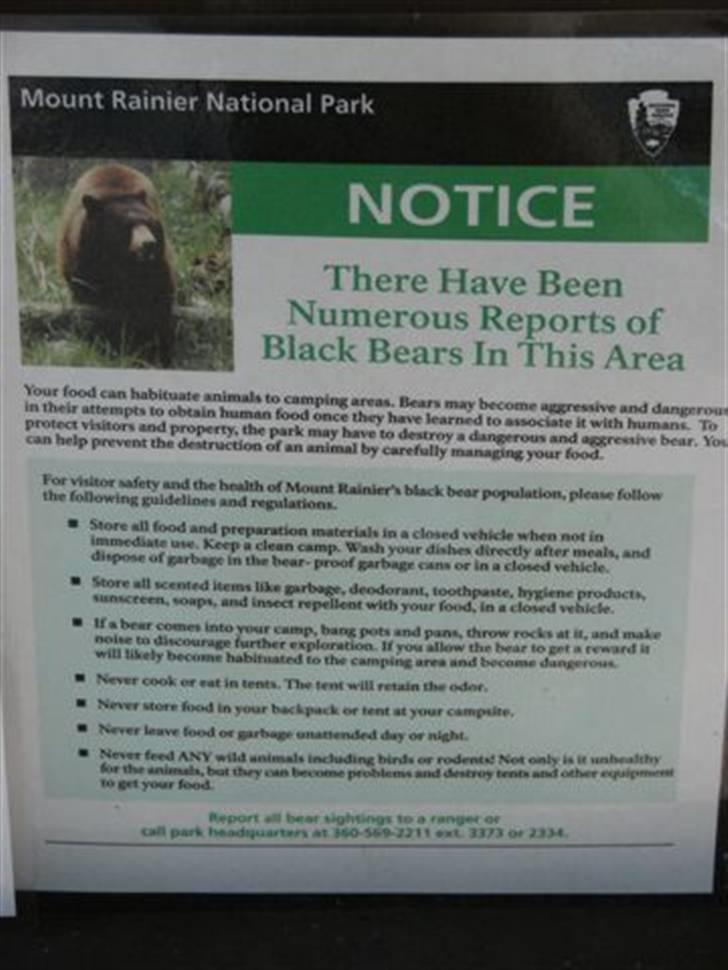 Lidt billeder fra en bilautists USA rejser! - Ja bjørne var der sgu.... billede 155