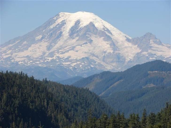 Lidt billeder fra en bilautists USA rejser! - Mount Rainier, WA billede 156