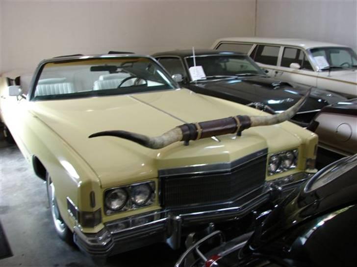 Lidt billeder fra en bilautists USA rejser! - Cadillac med overdimensioneret kølerfigur....... Tror de danske synsmænd ville blive "lykkelige" for sådan en satan..... billede 171