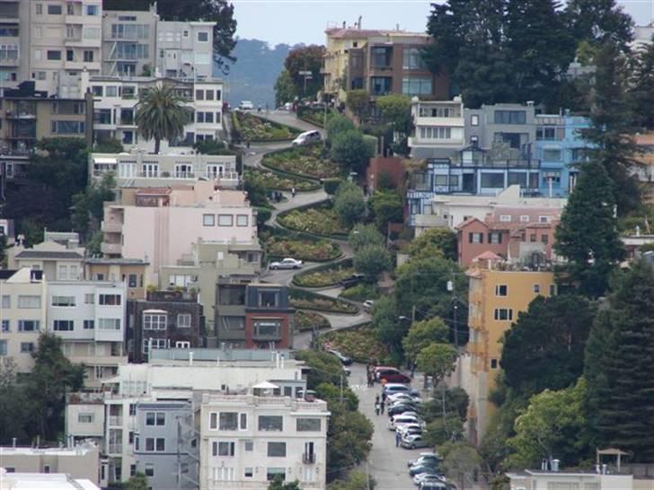 Lidt billeder fra en bilautists USA rejser! - Lombard Street..... Der kommer snart et videoklip, hvor jeg rent faktiskk kører ned af gaden..... billede 184