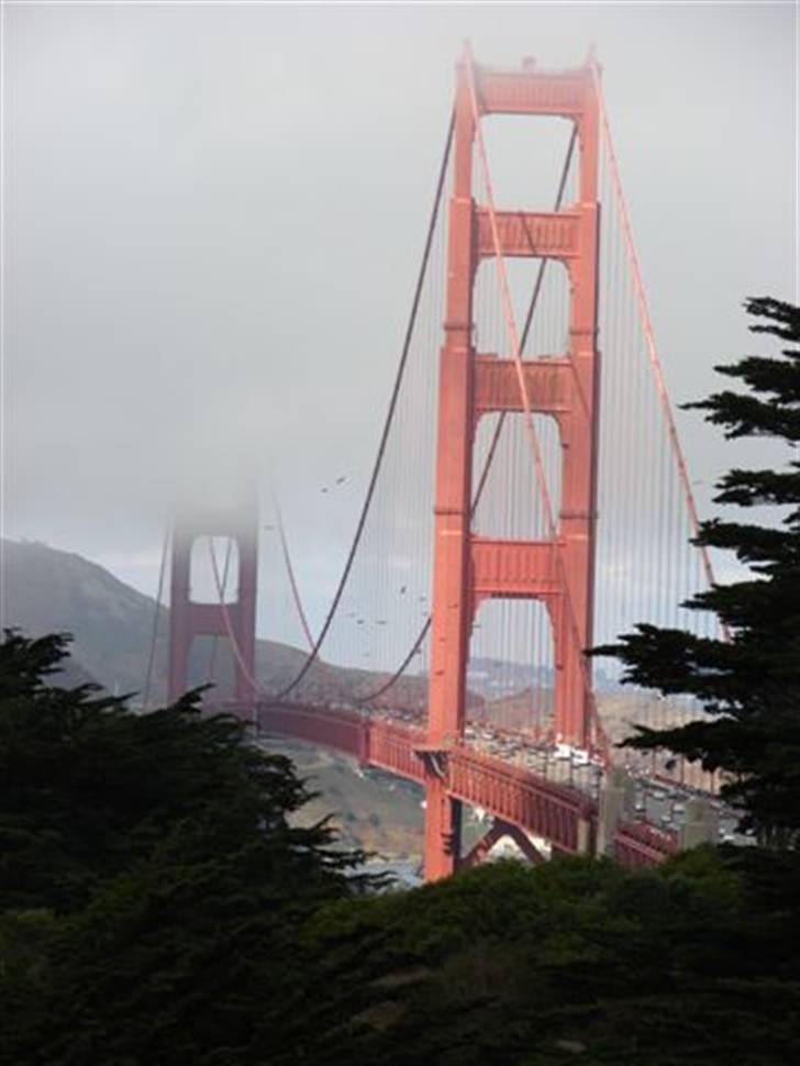 Lidt billeder fra en bilautists USA rejser! - Og så liige endnu et billede af Golden Gate... billede 192