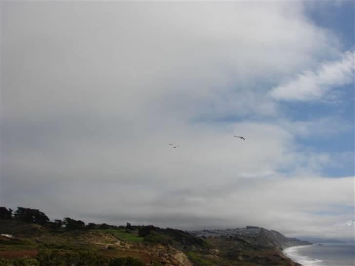 Lidt billeder fra en bilautists USA rejser! - Paragliding liige over San Andreas forkastningen, der kaster med jordskælv over området! billede 195