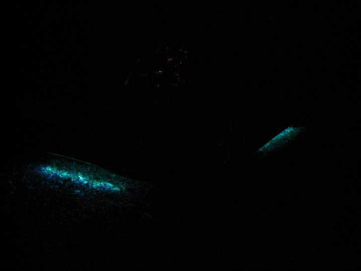 KIA Picanto sport!!! - Lidt mere billede 49