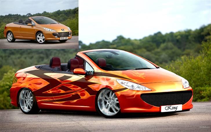 En vens PS biler - Ja sådan kan en 206 også se ud billede 4