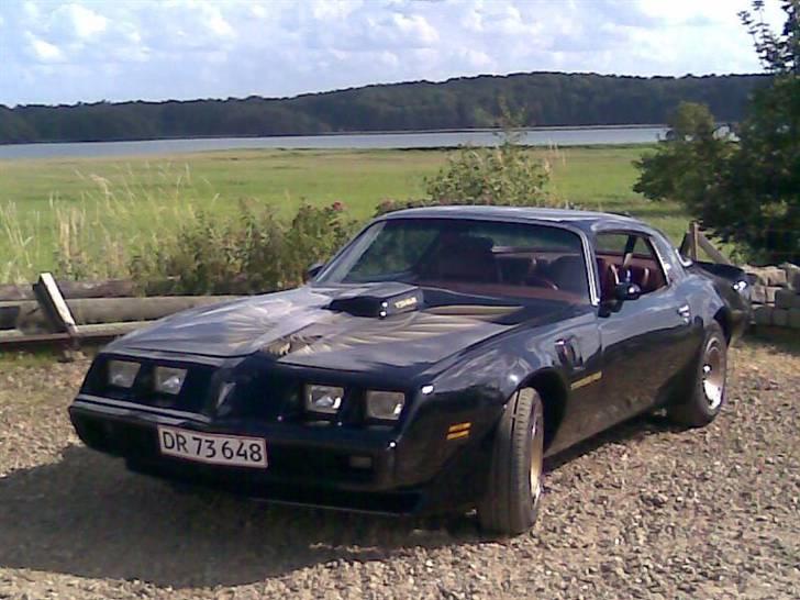 Min trans am billede 1