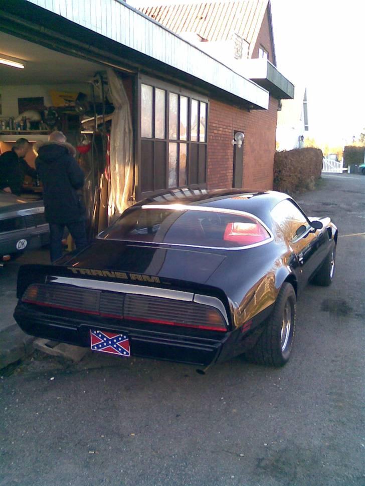 Min trans am billede 7