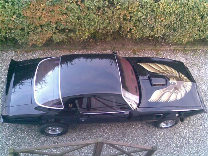 Min trans am billede 8