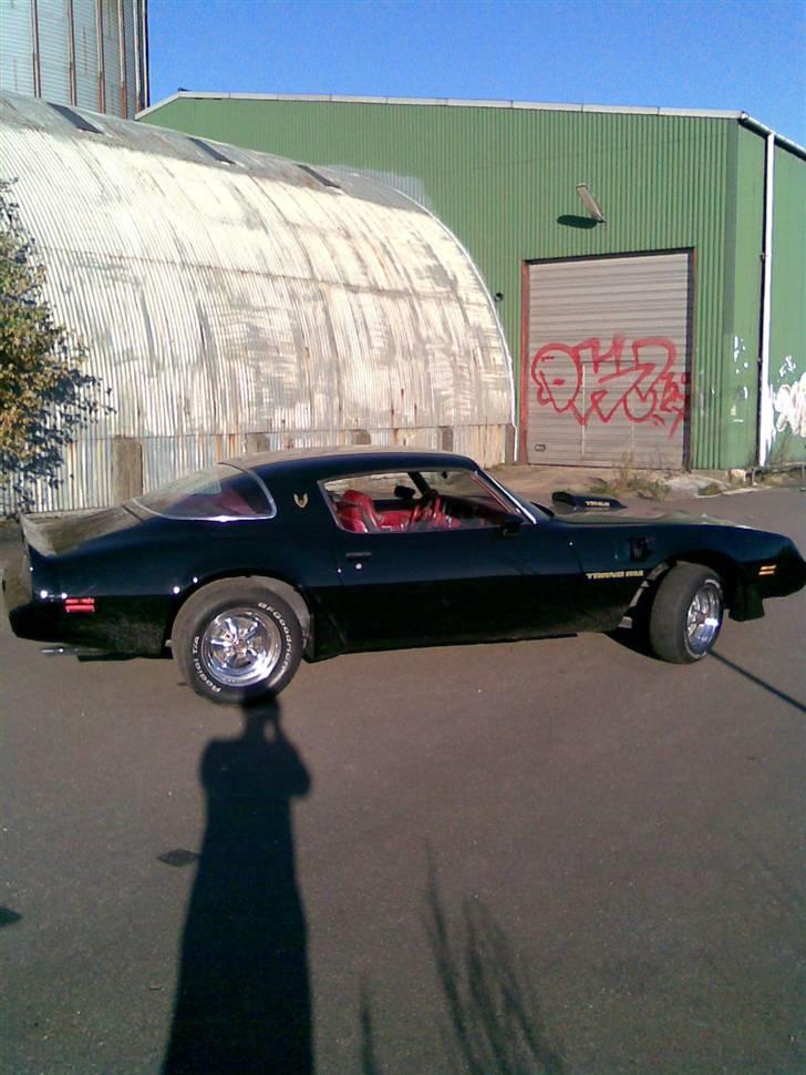 Min trans am billede 9