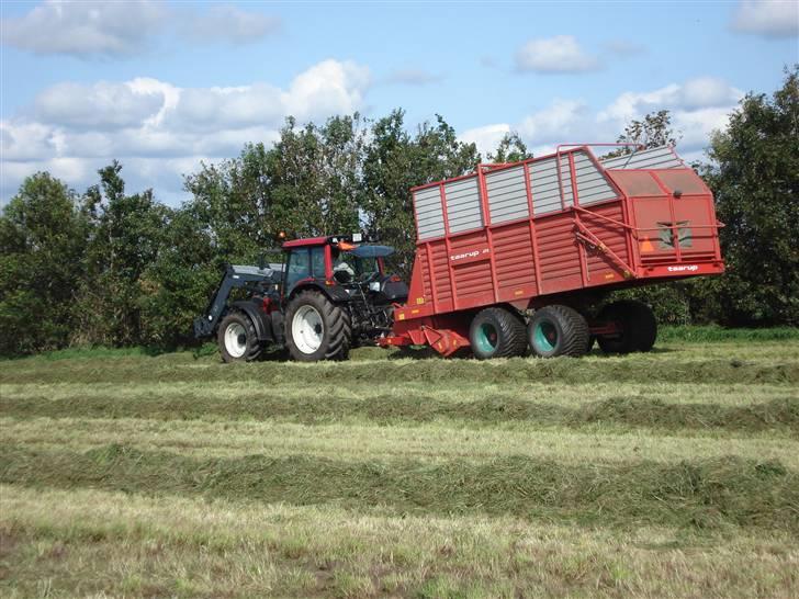 Hjemme på gården - Vores valtra N121 med vores taarup 470 selvlæsende snitte vogn billede 14