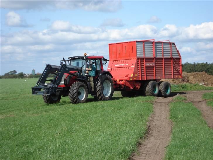 Hjemme på gården - Vores valtra N121 med vores taarup 470 selvlæsende snitte vogn billede 15