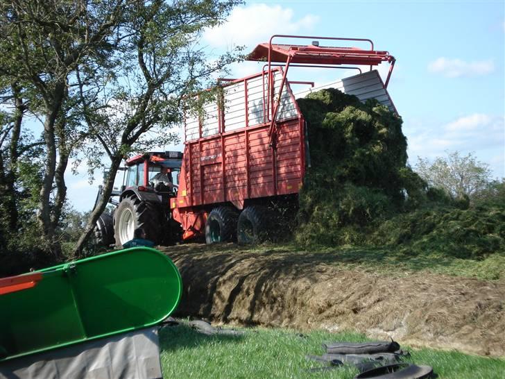 Hjemme på gården - Vores valtra N121 med vores taarup 470 selvlæsende snitte vogn billede 16