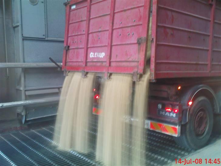 De biler jeg har kørt i - Atter et læs korn. (: Tom's MAN TGA billede 3