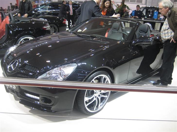 Essen Motor Show  2008 billede 217